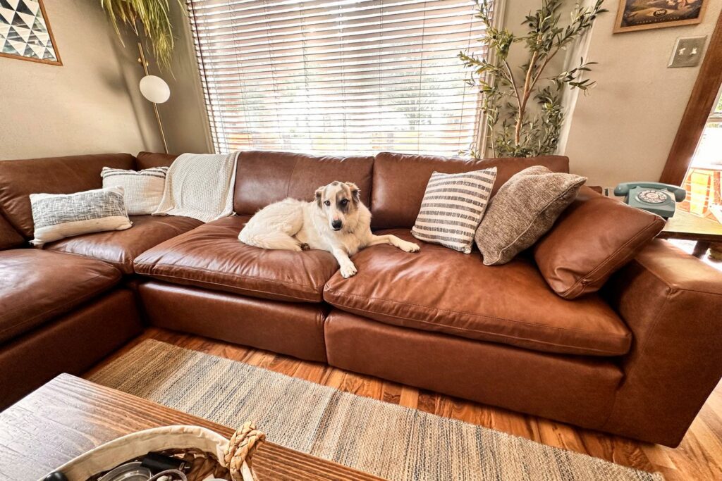 Best Chaise Sofas Australia: Comfort Meets Contemporary Design