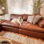 Best Chaise Sofas Australia: Comfort Meets Contemporary Design