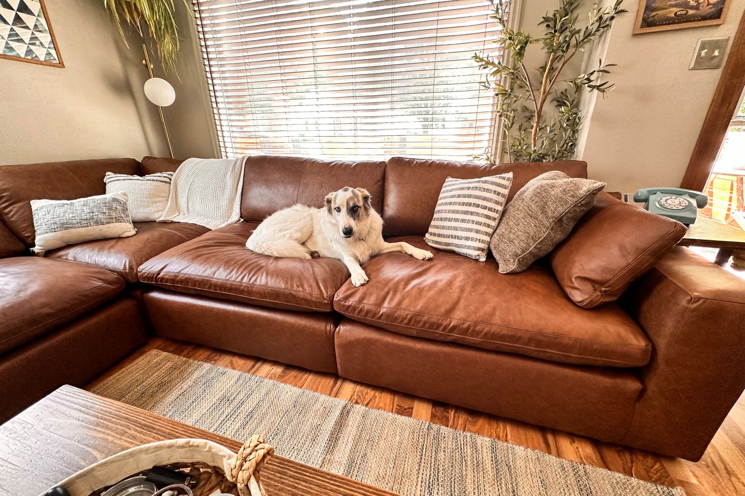 Best Chaise Sofas Australia: Comfort Meets Contemporary Design